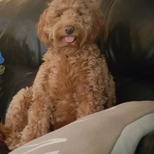 Meet your Posher, Tanya